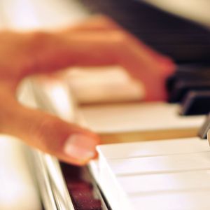 吴签网页版登录入口
