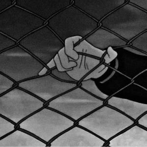 吴签网页版登录入口
