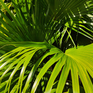 吴签网页版登录入口
